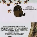  ♥ Fly ♥,  -  2  2019   =)