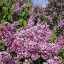 ���� �����_, ������, 50 ��� - ��������� 15 ��� 2019 � ������ ������ ��������