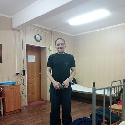 , 53 , 