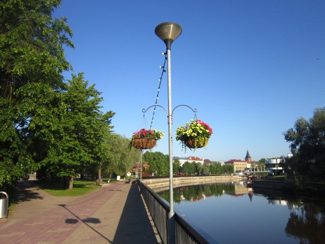 Igor - 8  2019  21:07 - 2