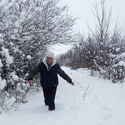 �����, ��������