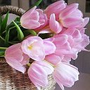 ���� Tanya, ������� - ��������� 26 ��� 2019 � ������ ������ ��������