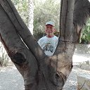 ���� ��������, �����-���������, 74 ���� - ��������� 7 ������ 2019 � ������ ���� ����������