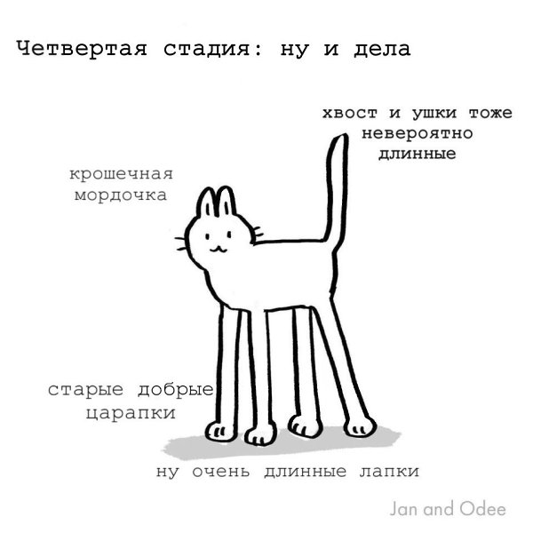    : - 4