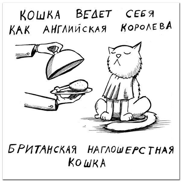        - 5