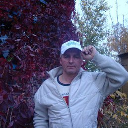 ������, �����������, 64 ����