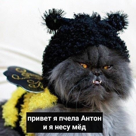    :