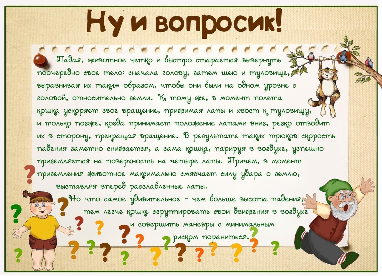 НУ И ВОПРОСИК! Мой братишка - почемучка. Пристаёт он, как ... | Для ВАС,  РОДИТЕЛИ!(дети) | Фотострана | Пост №1947985330