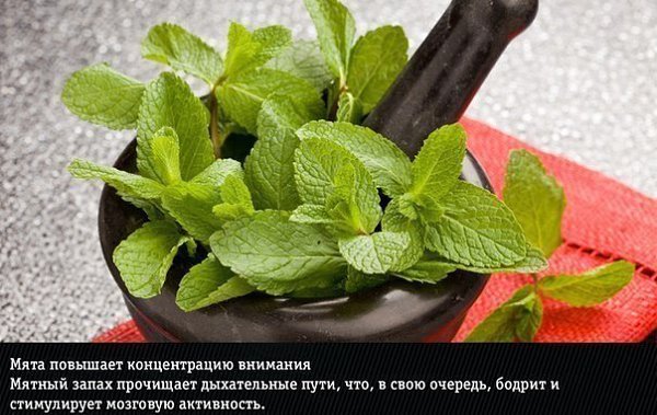 9 природных ароматов, неожиданно меняющие эмоции человека - 8