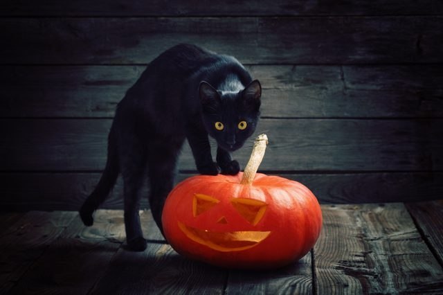 Happy Halloween! - 3