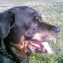 ���� ����, �����-���������, 62 ���� - ��������� 12 ������� 2019