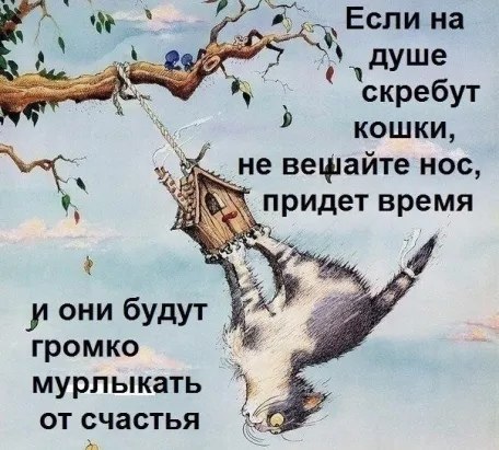   ,    . - 24  2019  22:59