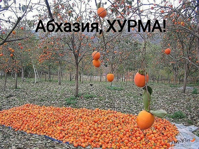 �� �������� - 18 ������� 2019 � 20:14