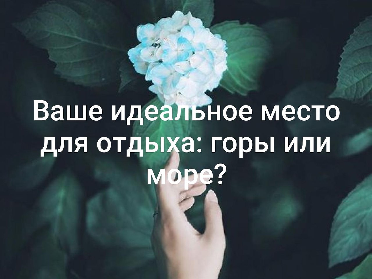   - 11  2019  19:11