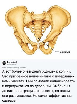  ,  ,   - 4