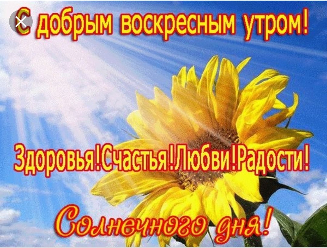 ***Victoria Viktorovna*** - 7  2019  04:33