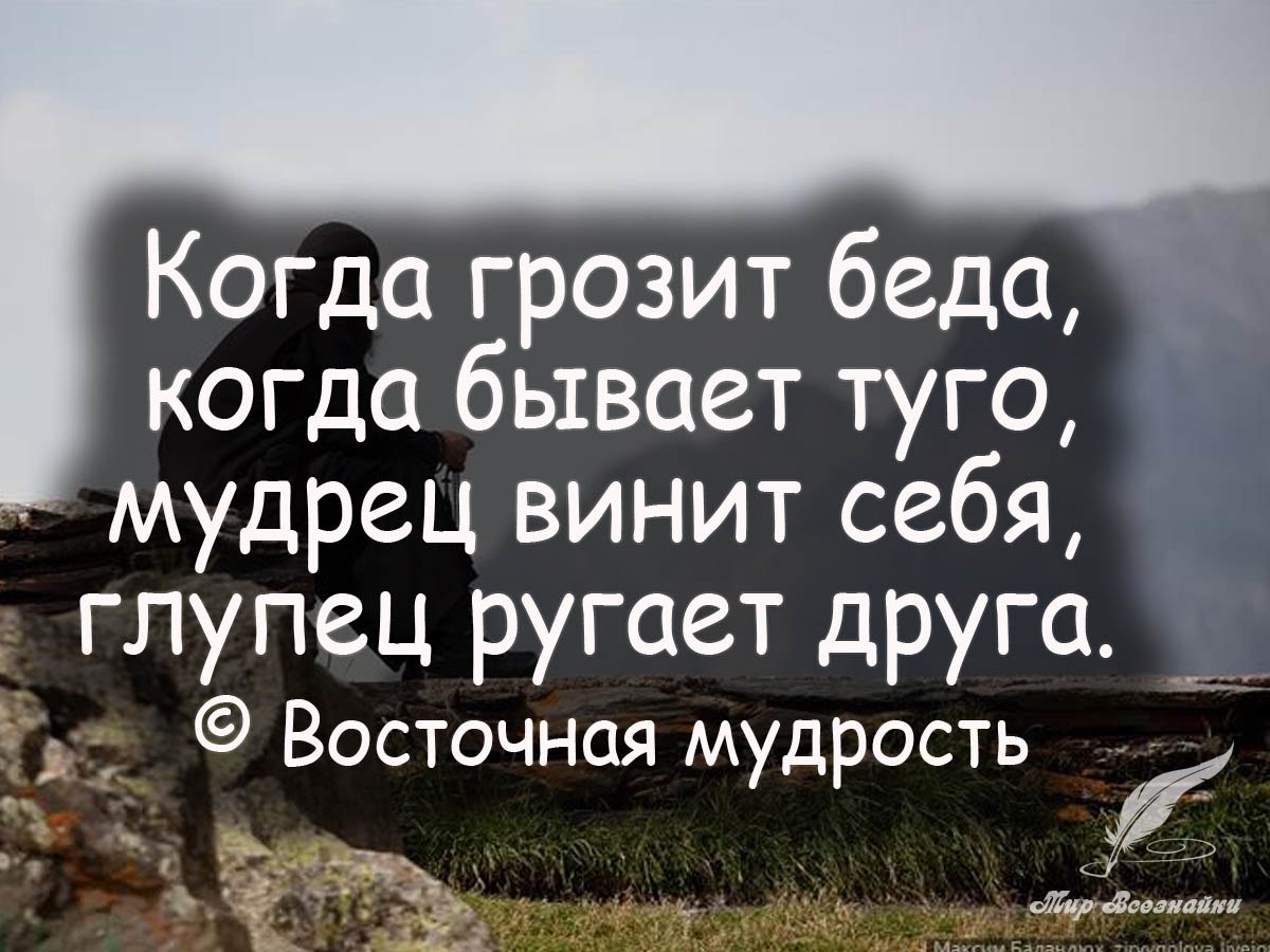   ! - 19  2019  15:17