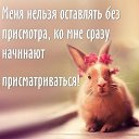 ���� ����, �������������, 47 ��� - ��������� 31 ���� 2019 � ������ �������