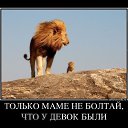 ���� ����, ��������, 42 ���� - ��������� 23 ��� 2019