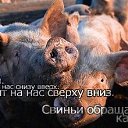 ���� �����, ����������, 44 ���� - ��������� 4 ������� 2019 � ������ ������ ��������