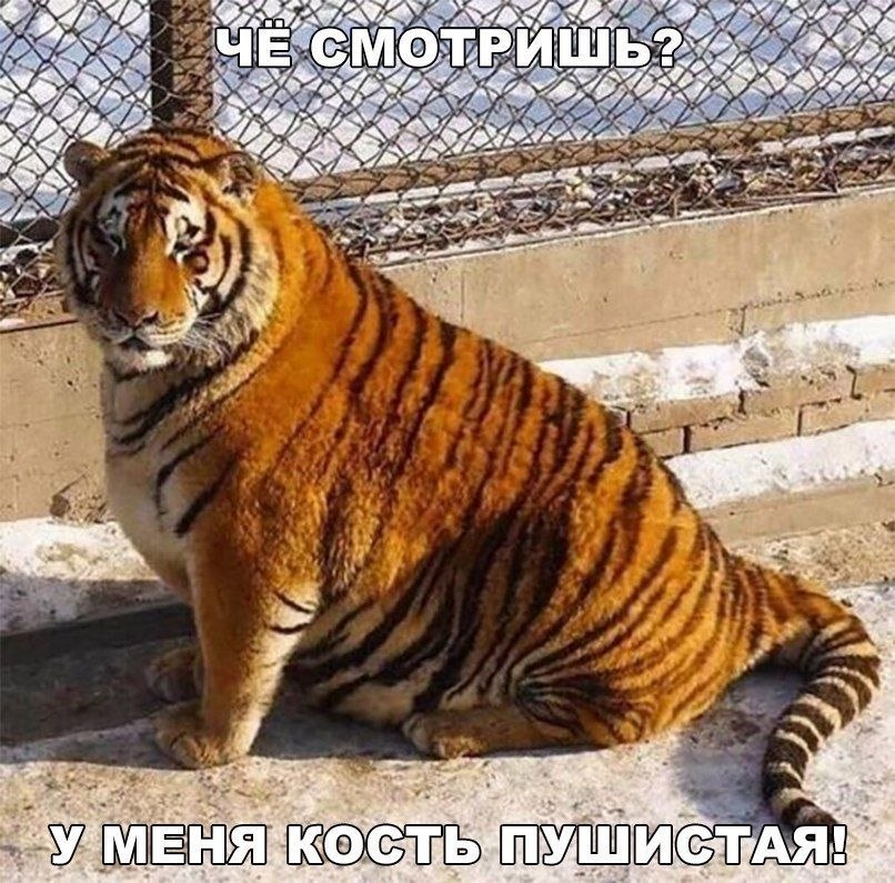    :D - 23  2019  02:09