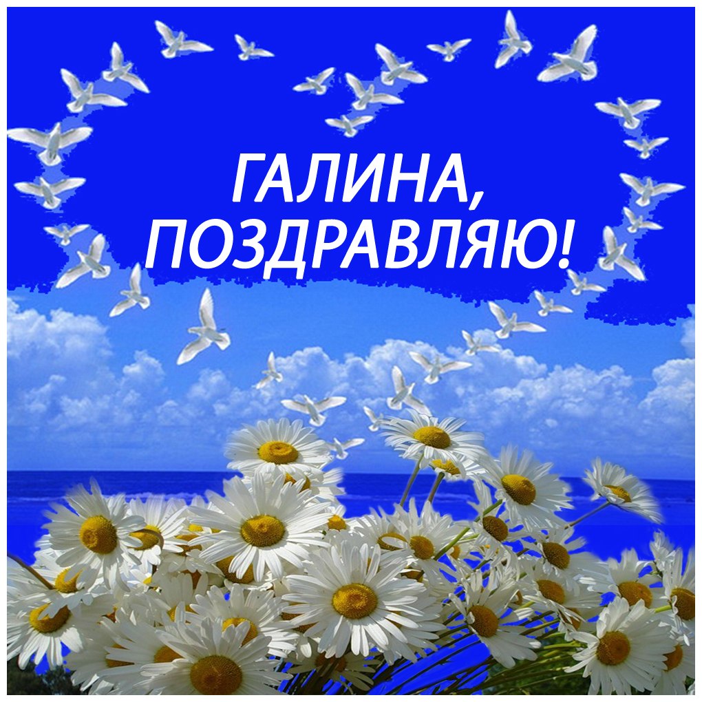   ,    . - 12  2019  07:57