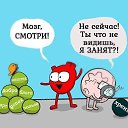 ���� �����, �����-���������, 65 ��� - ��������� 30 ������� 2019 � ������ ������ ��������