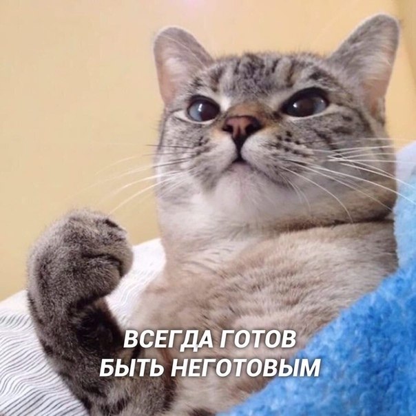    : - 2