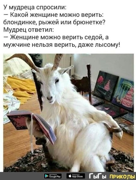 ☆Лучшие шутки☆ - 17 декабря 2019 в 18:52