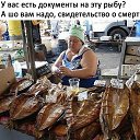  , , 63  -  14  2019         !!!