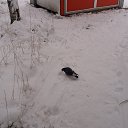 ���� Nik, ������������, 56 ��� - ��������� 11 ������ 2019 � ������ ���� ����������