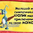  ,  -  4  2019   