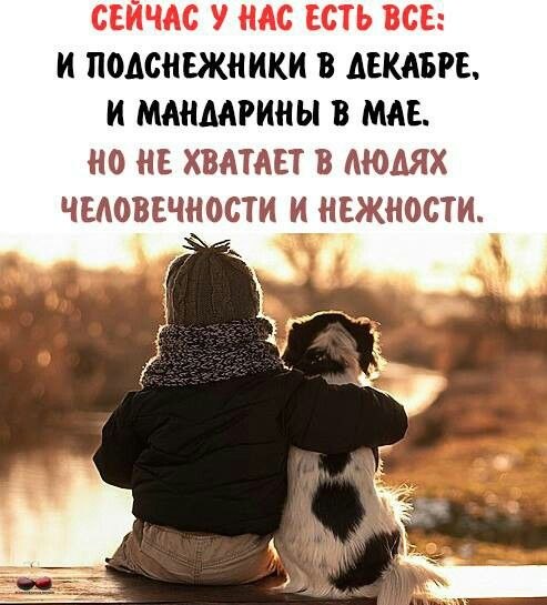 ₪╬═►  ||  ||  ◄═╬₪ - 4  2019  11:33