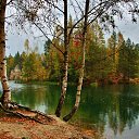 ���� ����������, ������ - ��������� 24 �������� 2019 � ������ ���� ����������