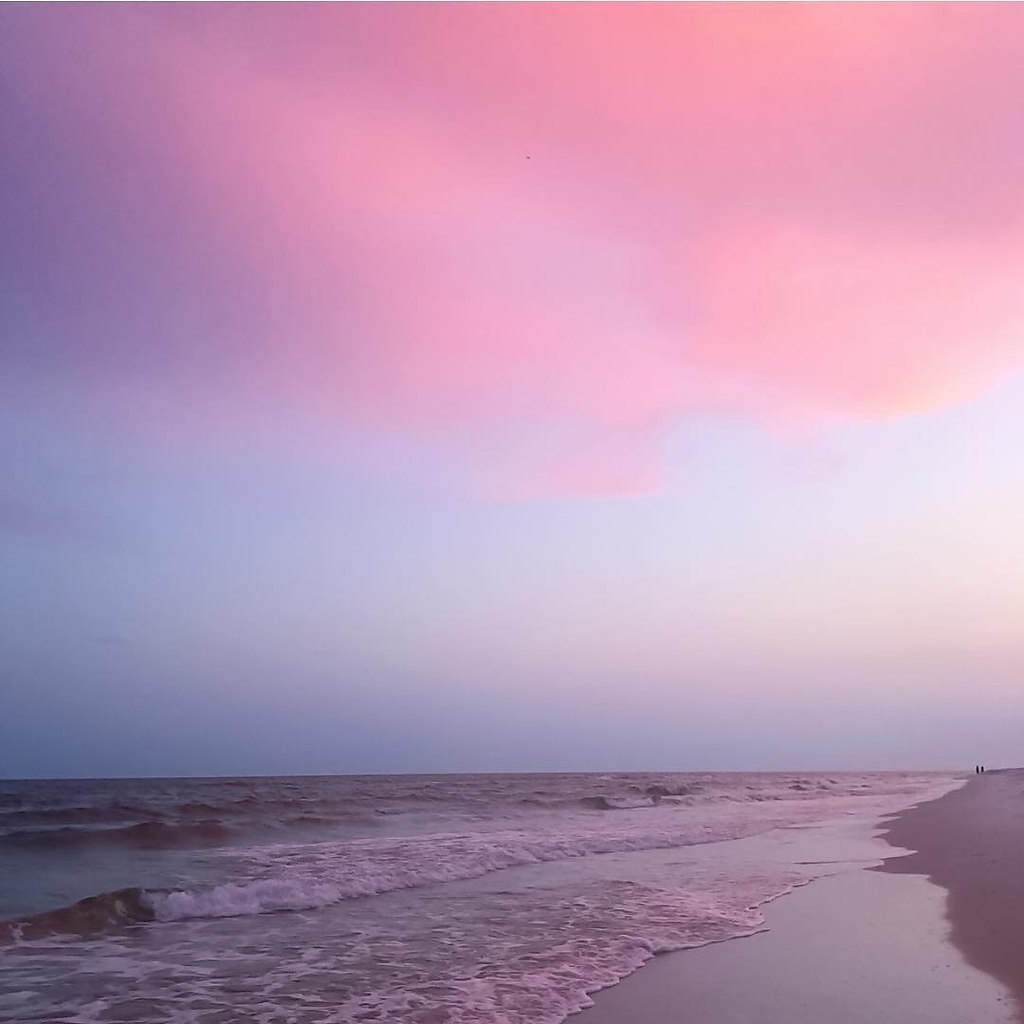 Florida, USA - 7
