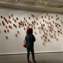 ���� �����, ������������ - ��������� 23 �������� 2019 � ������ �������. ���������� �����.�