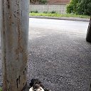  ••,  -  11  2019       ...