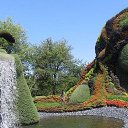  ••,  -  16  2019   