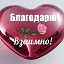 ���� �����, ������, 62 ���� - ��������� 12 ������� 2019 � ������ ���� ����������