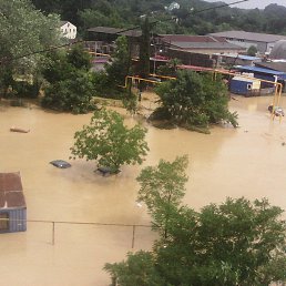 ������, ����, 55 ���