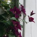 ���� ����, ����� - ��������� 7 �������� 2019 � ������ ���������� ������