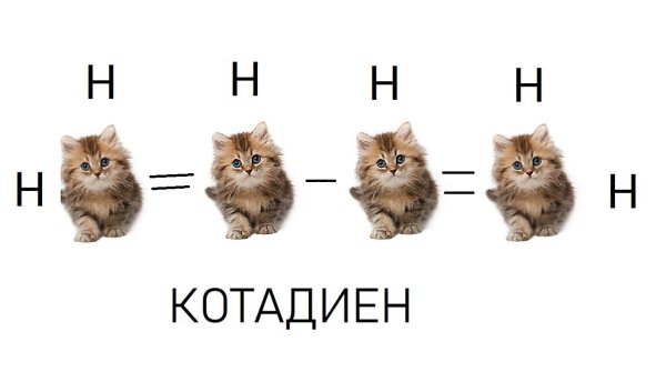   - 6