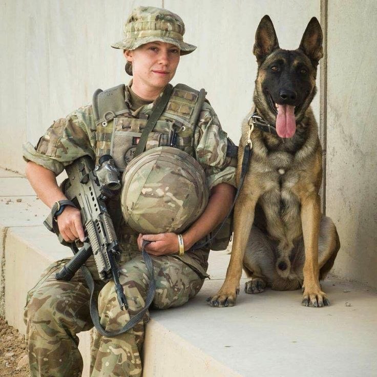 ��������� ������. - 12