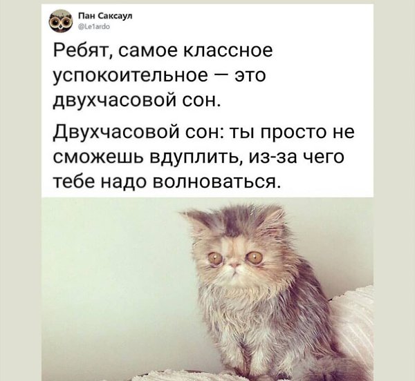 ���������� - 19 ������� 2019 � 07:14