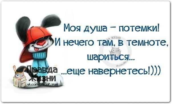   - 15  2019  03:41