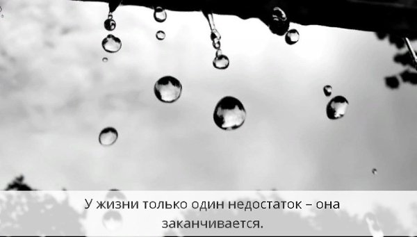     - 15  2019  19:02