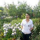 ���� ���������, ����, 72 ���� - ��������� 21 ��� 2019 � ������ ������� ����..�