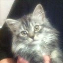 ���� �������, ������, 54 ���� - ��������� 25 �������� 2019