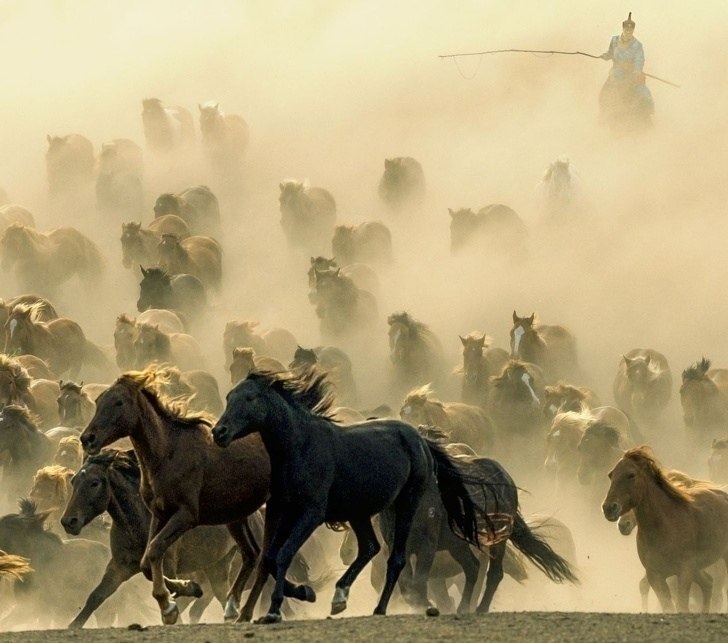 10 o o National Geographic,  oo   o ooo. - 10