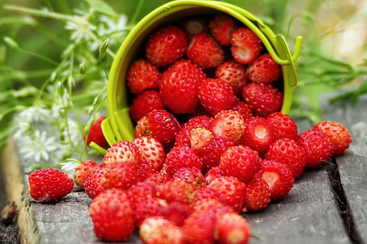 "  .... ,     ..." () - 5